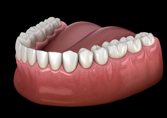 Mandibular human gum and teeth. Medically accurate tooth 3D illustration