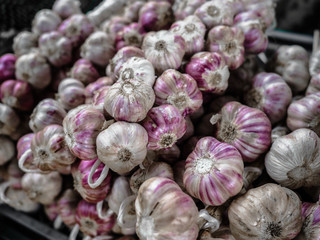 String of colored garlic close-up