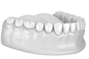 Mandibular human gum and teeth anatomy. Medically accurate tooth 3D illustration