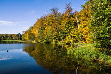 Fototapeta na wymiar Piękny jesienny krajobraz, jezioro i las