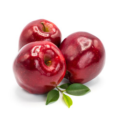 Red apples on white background