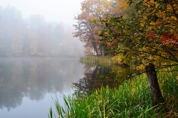 Piękny jesienny krajobraz, jezioro i las © VinyLove Foto