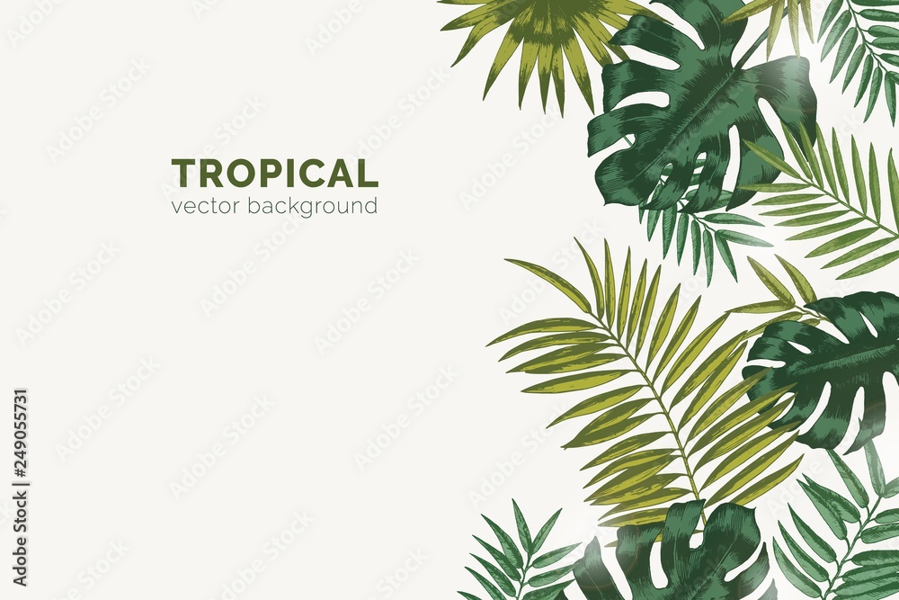 Poster summer paradise background with exotic palm tree branches and tropical monstera leaves. natural hori