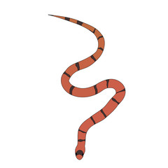 Obraz premium snake striped, isolated, vector