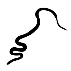 snake crawling, black silhouette