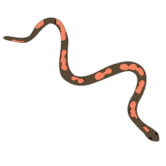 snake crawling, isolated