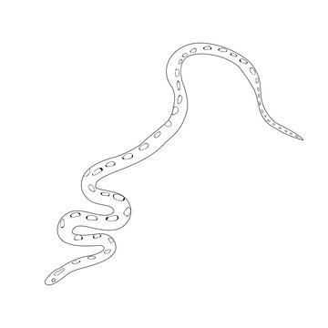 snake crawls, sketch