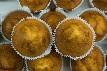 many fresh cupcakes background