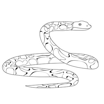 snake crawls, sketch isolated, vector