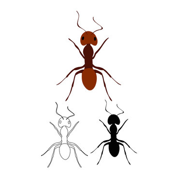 ant crawling, insect, silhouette and.sketch isolated