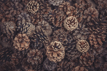 Christmas background.Brown pine cones