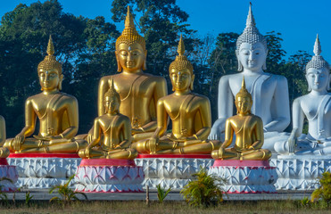 a lot of Buddha statues in the large field at  Tungsong Nakornsrithammarat
