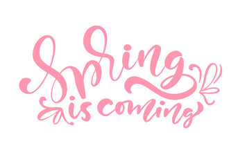Pink Color Calligraphy lettering phrase Spring Is Coming. Vector Hand Drawn Isolated text. sketch doodle design for greeting card, scrapbook, print