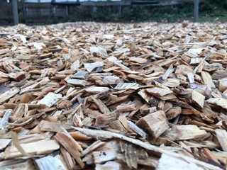 Wood chips