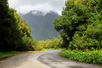 Beautiful green road in the mountains of Madeira towards the UNESCO Laurissilva forest (Laurel forest) on a cloudy summer day