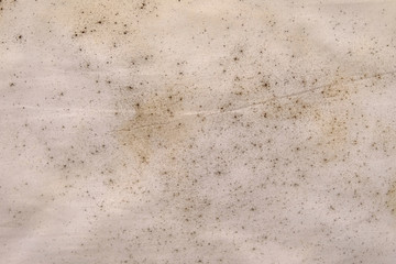 mold on dirty fabric texture