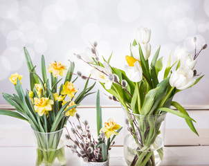 white tulips isolated on white with clipping path
