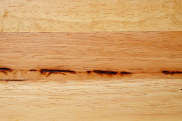 wood texture  (Hevea brasiliensis)