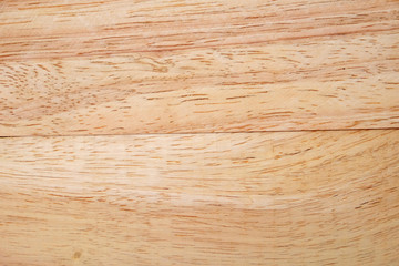 wood texture  (Hevea brasiliensis)