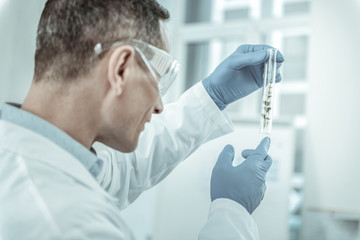Professional scientist in protective gloves holding test tube