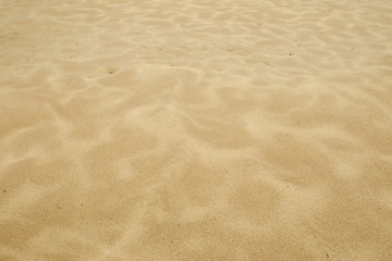 Fototapeta na wymiar Sand beach texture