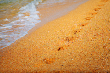 Footprints on the sea sand. Sea shore
