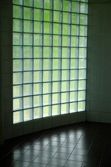 glass wall toilet interior