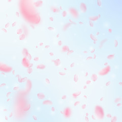 Sakura petals falling down. Romantic pink flowers 