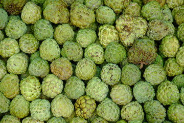 custard apple fruit to sell at the market