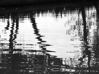 abstract black and white wave tree on water reflection texture