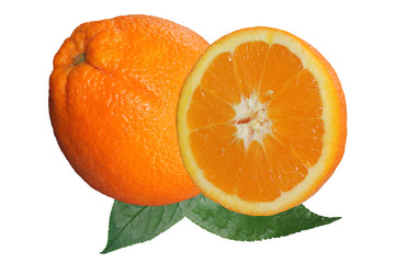 half and whole r of fresh tasty green kiwi isolated on white background