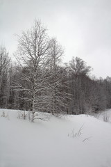 Fototapeta na wymiar Winter in Russia