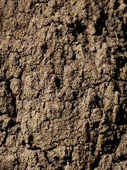 dry soil texture