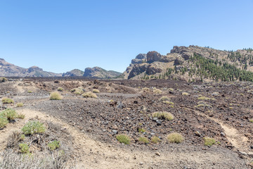 as Canadas del Teide national park, Tenerife, Canary Islands