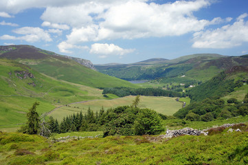 Obraz premium In the middle of summer in the Wicklow Mountains.Ireland.Valley of the Cloghoge River. 