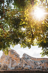 Wat Phra Non Tempel, Ayutthaya, Thailand 