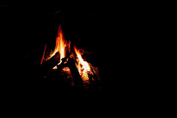 Bonfire in the forest of the night,Camp fire burning.Fire flame isolated on black background.