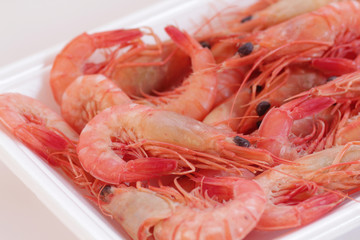 小エビ（ブト海老）