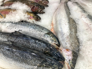 raw fishes on ice in a fishmarket