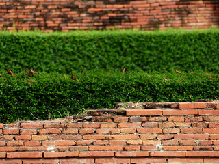 closeup brick wall with tree