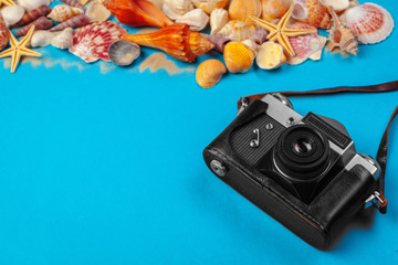 Sea shells and starfish and camera