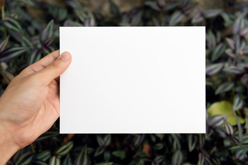 Hand holding blank greeting paper card on green leaf for mockup template design wedding card.