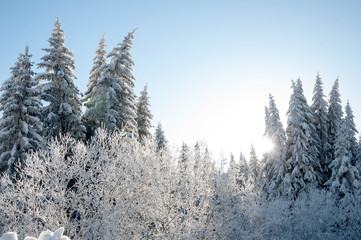 Just another day skiing in the mountain