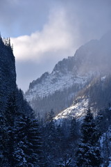 Dolina Koscieliska Tatry Zachodnie Tatrzański Park Narodowy zima TPN Góry 