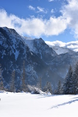Fototapeta na wymiar Dolina Koscieliska Tatry Zachodnie Tatry Tatrzański Park Narodowy zima TPN Góry 