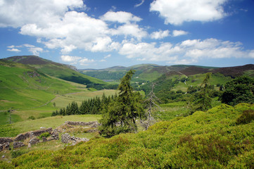 Fototapeta premium The ruins of an old village in a mountain valley.Wicklow Mountains.Ireland. 