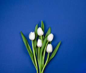 Bouquet of white tulips on a dark blue background. This card is suitable for a man.