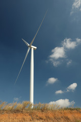 Windmill farm with blue sky and clouds