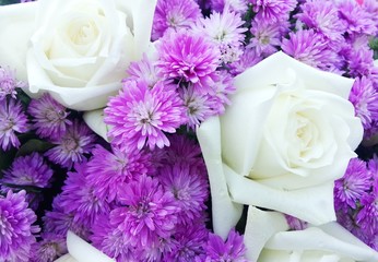 Beautiful flowers as background