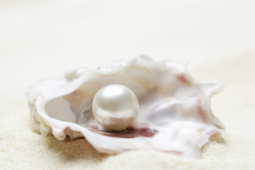 Obraz na płótnie Canvas Close up image of organic pearl in a shell